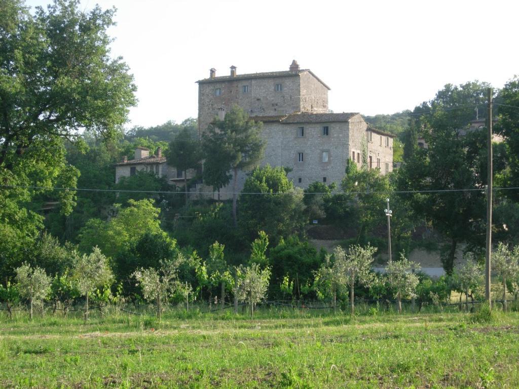 Gli Appartamenti Di Torre Bertona Todi Værelse billede
